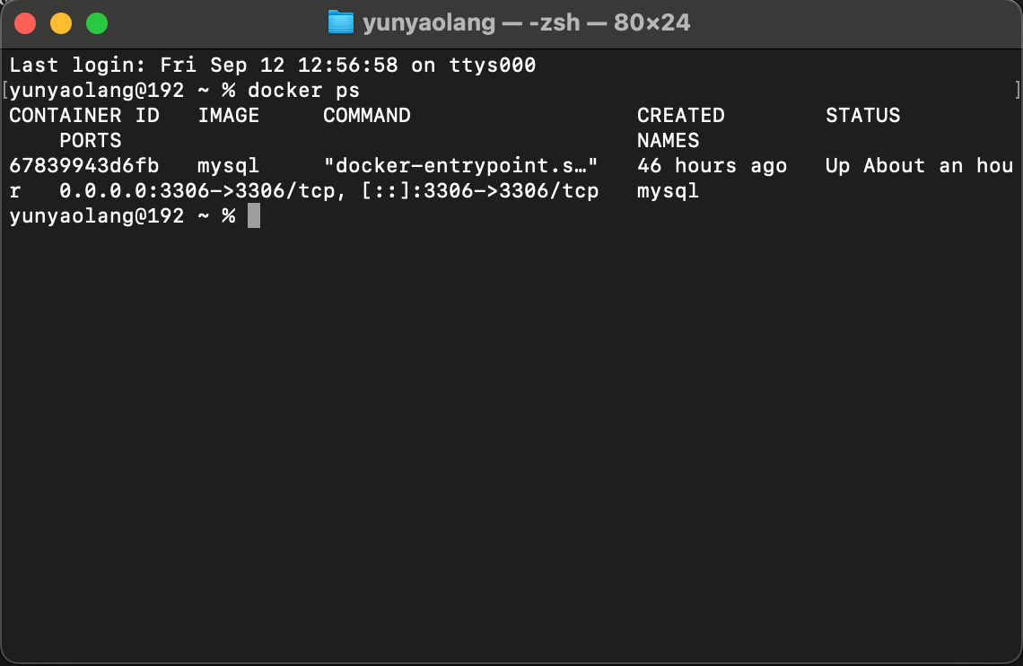 命令行中查看运行的容器列表