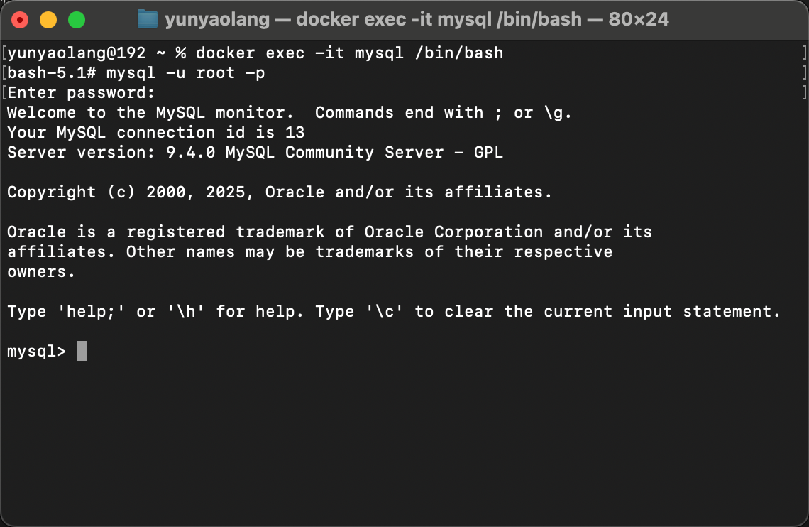 成功登录mysql实例